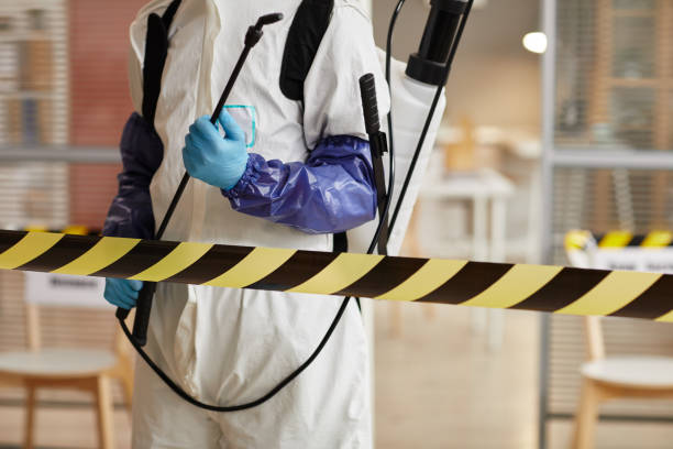Professional Sewage Cleanup technician working in Hebron, OH